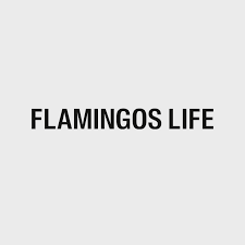 Flamingos life